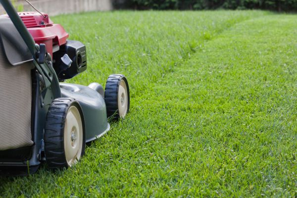 Residential Lawn Care in Lawrence