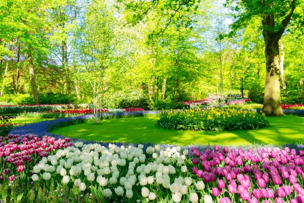 Spring Lawn Care in Lawrence