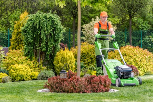 Commercial Yard Maintenance in Lawrence