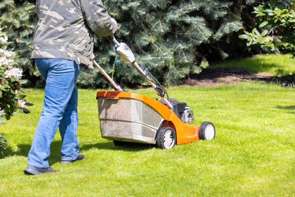 Springtime Lawn Care in Lawrence