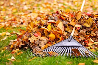 Autumn Lawn Maintenance