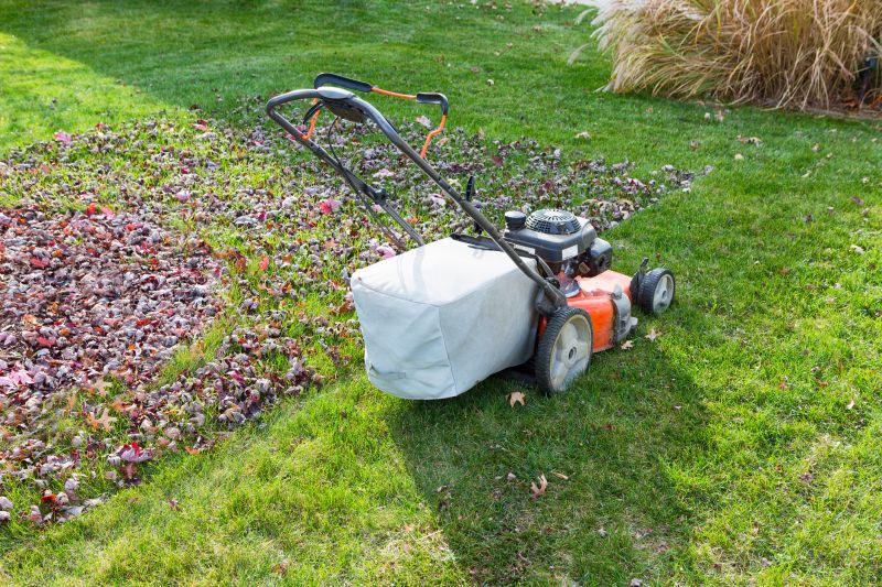 Efficient Lawn Care Tools