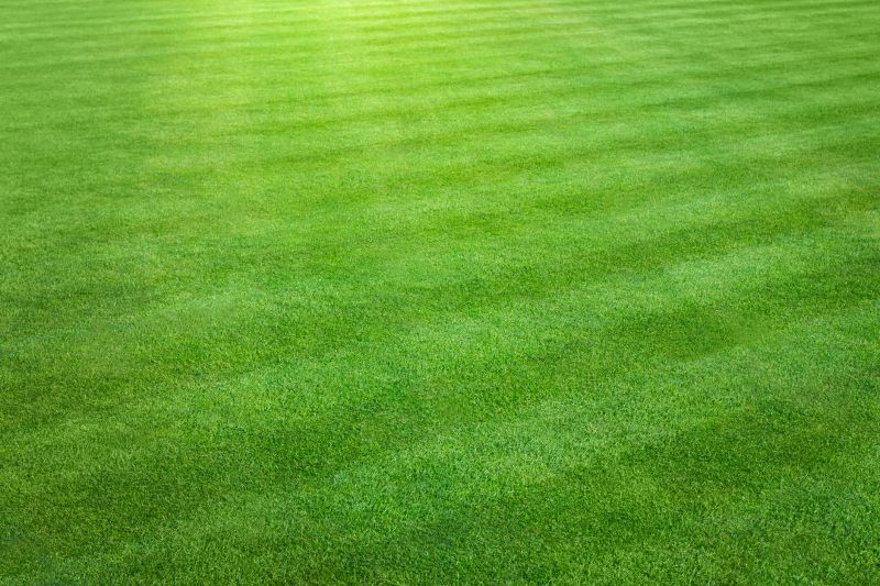 Residential Lawn Maintenance