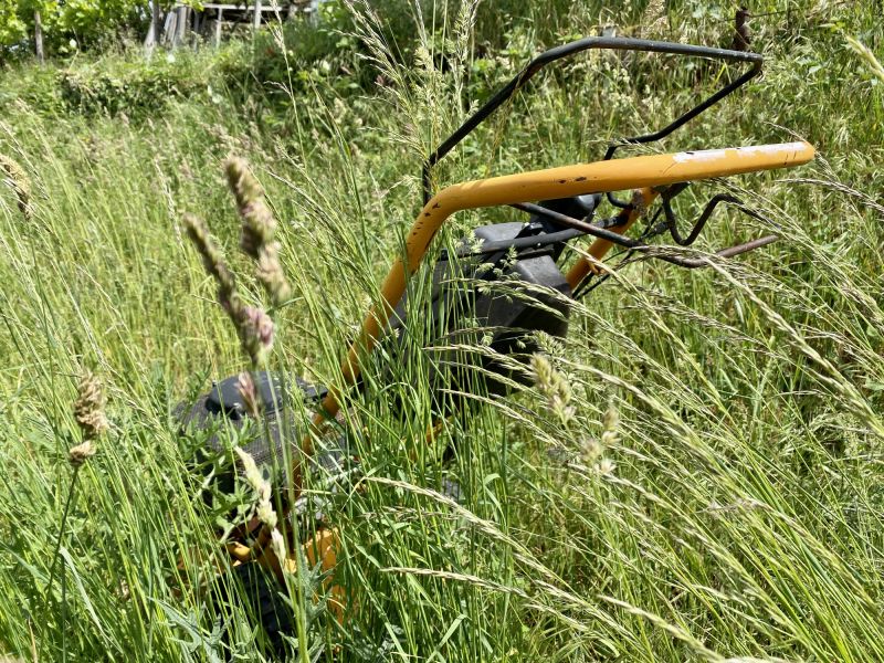 Tall Grass Mowing